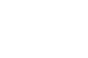 IDI Studio